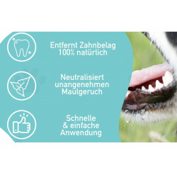 Dentalspray Natürliche Zahnpflege Formel für Hund & Katze Das Denta