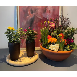Bio Urne / Lagerauflösung